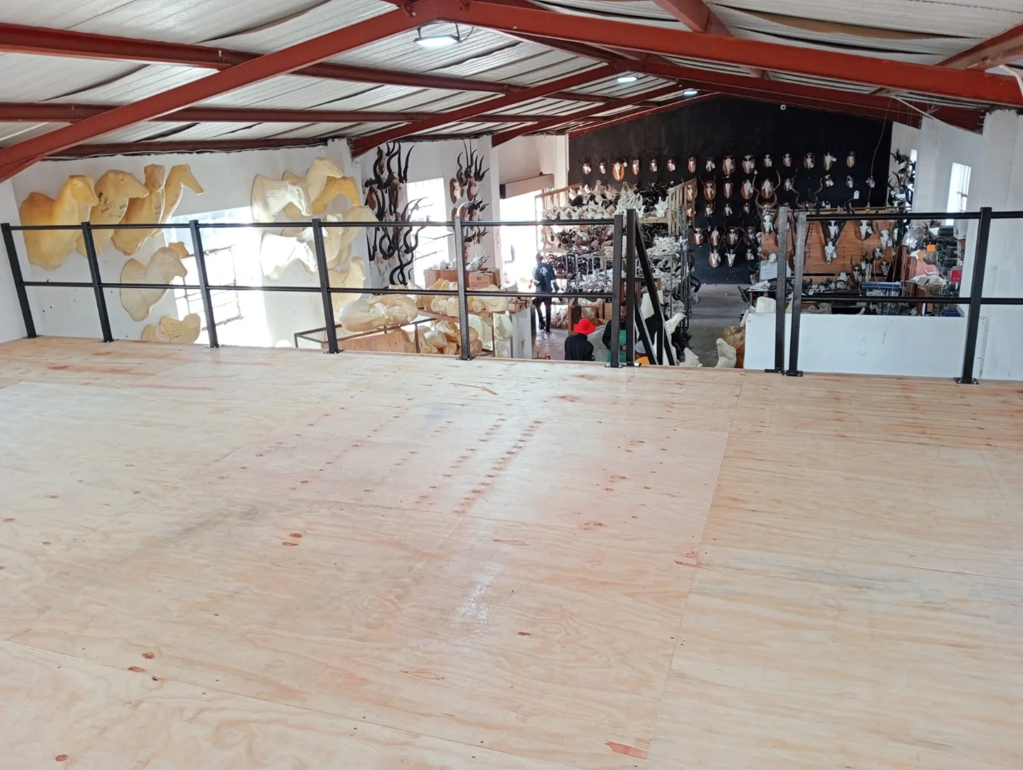 Looking down from the new mezzanine over the taxidermy studio below